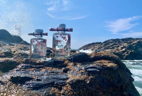 Two bottles of gin sitting on a rock next to the ocean.